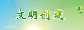 如果您的使用的是双核浏览器